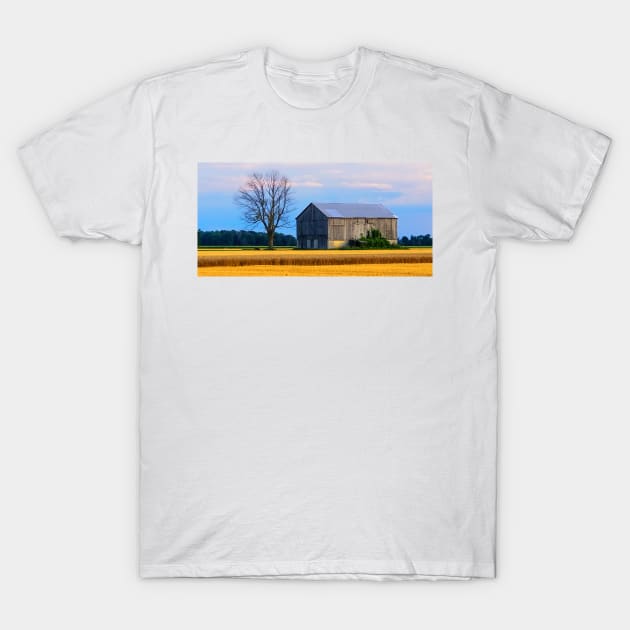 Dead Tree and Barn T-Shirt by BrianPShaw